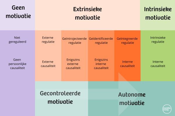 Gecontroleerde en autonome motivatie volgens Deci en Ryan - Marielle Tromp