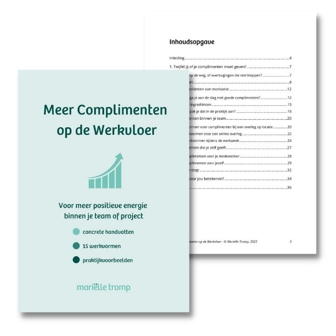 Meer Complimenten op de Werkvloer e-book