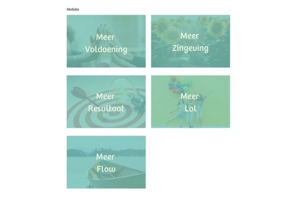 Overzicht modules