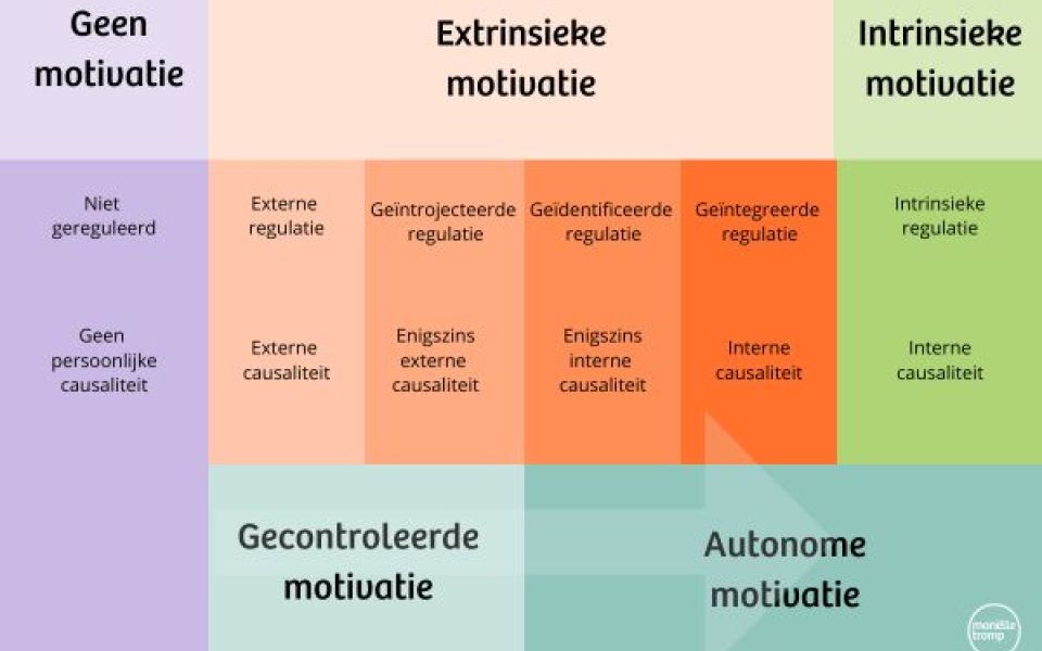 Gecontroleerde en autonome motivatie volgens Deci en Ryan - Marielle Tromp