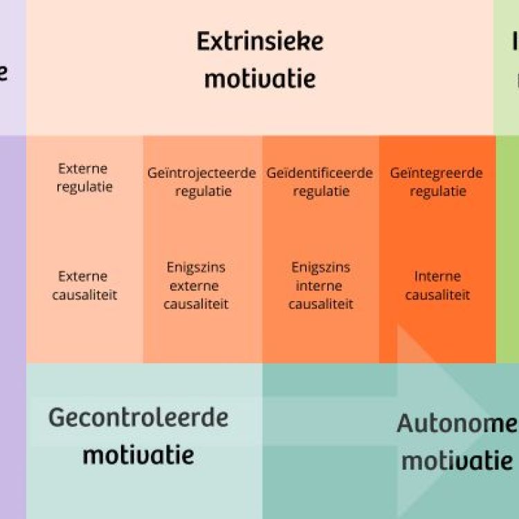 wp-content/uploads/2023/04/Gecontroleerde-en-autonome-motivatie-volgens-Deci-en-Ryan-Marielle-Tromp.jpg